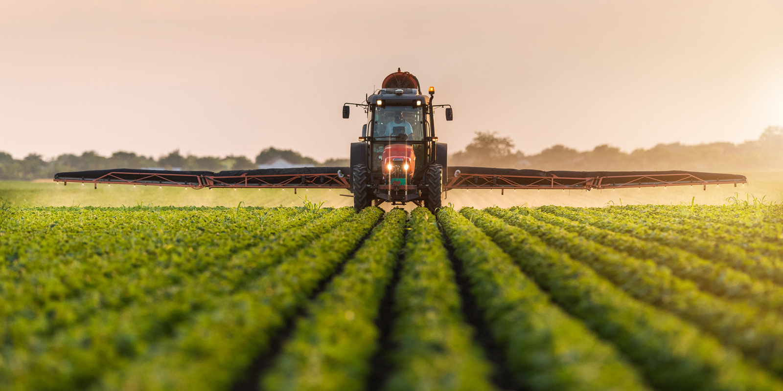 Image for Agriculture and Food