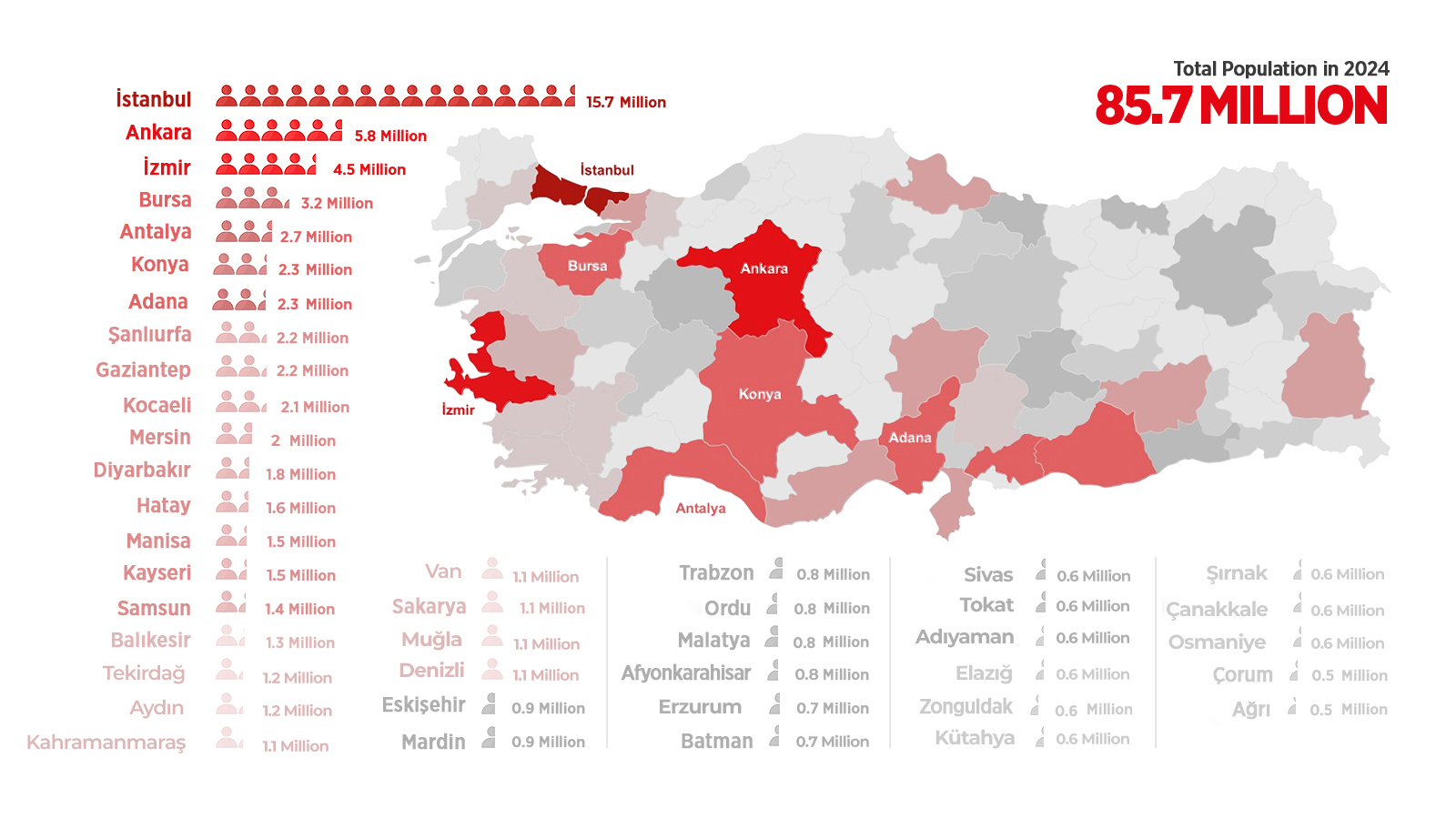 Large Domestic and Regional Markets-2023.jpg